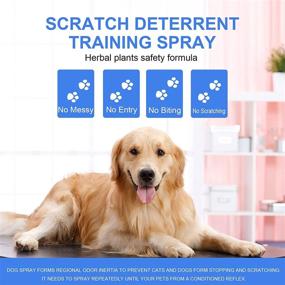 img 3 attached to 🐾 Pet Deterrent Spray: Protect Furniture, Floors & Plants | Indoor/Outdoor Cat & Dog Repellent Spray for Anti-Scratching, Biting & Training Aid