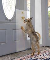 🐾 протектор для дверей clawguard: большая противоцарапательная защита от кошек и собак - защитите свои двери от царапаний и повреждений, 20 дюймов x 44 дюйма. логотип