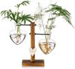 glass plant terrarium with wooden stand, creative double heart glass hydroponic vases, modern plant propagation station desktop planter bulb vase for home garden office decoration logo