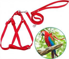 img 4 attached to Adjustable And Anti-Bite Bird Harness And Leash Kit - Perfect For Large And Medium Birds And Reptiles!