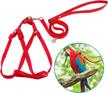 adjustable and anti-bite bird harness and leash kit - perfect for large and medium birds and reptiles! logo