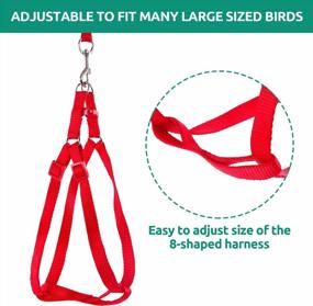 img 1 attached to Adjustable And Anti-Bite Bird Harness And Leash Kit - Perfect For Large And Medium Birds And Reptiles!