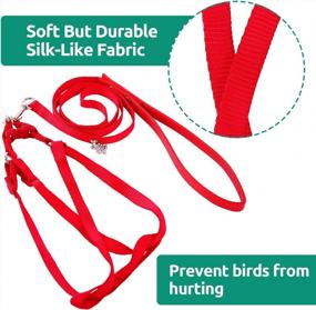 img 2 attached to Adjustable And Anti-Bite Bird Harness And Leash Kit - Perfect For Large And Medium Birds And Reptiles!