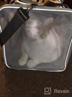 img 1 attached to Viva Magenta Soft Pet Carrier: Perfect Solution For Large And Medium Cats And Small Dogs review by Jason Sundstrom