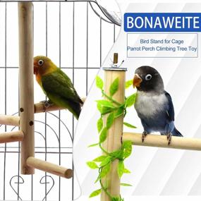 img 3 attached to Enhance Your Bird'S Ability With Bonaweite'S 8" Bird Perches - Perfect For Small And Medium Cockatiels, Parrotlets, And Finches