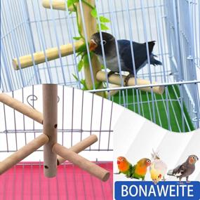 img 2 attached to Enhance Your Bird'S Ability With Bonaweite'S 8" Bird Perches - Perfect For Small And Medium Cockatiels, Parrotlets, And Finches