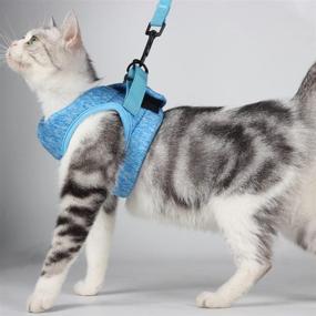 img 4 attached to Harness Leash Walking Escape Proof Cats and Collars, Harnesses & Leashes