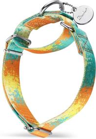 img 4 attached to Dazzber Martingale Dog Collars - Vibrant Oil Painting Patterns for Medium and Large Dogs