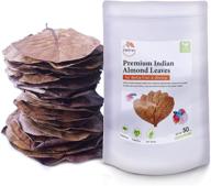 🍃 jaitan premium indian almond leaves – water conditioner, fish fin color enhancement, betta fish & shrimp breeding, 50g (20+ leaves/pack), 8-10 inches logo