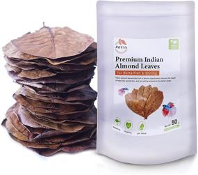 img 4 attached to 🍃 JAITAN Premium Indian Almond Leaves – Water Conditioner, Fish Fin Color Enhancement, Betta Fish & Shrimp Breeding, 50g (20+ Leaves/Pack), 8-10 Inches