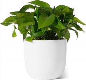 img 4 attached to 7 Inch White Ceramic Indoor Planters With Drainage Hole - Modern Decorative Plant Pots For Indoor Plants