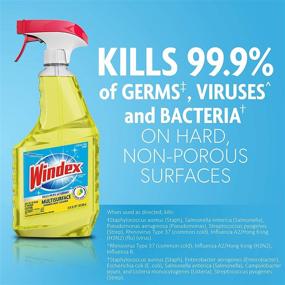 img 1 attached to 🍊 Windex Multi-Surface Disinfectant Cleaner - Citrus Scent, 32 fl oz Trigger Bottle: Powerful Cleaning & Refreshing Fragrance