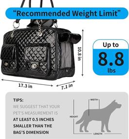 img 3 attached to 🐾 Betop House Soft-Sided Pet Travel Carrier: Airline Approved for Small Dogs and Cats, Collapsible, Black Shiny Patent Leather