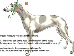 img 1 attached to 🐕 SightHound Gang Martingale Dog Collar: 2" Wide Collar for Greyhound, Saluki, Whippet, and Similar Breeds