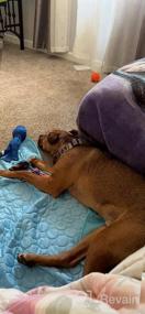 img 7 attached to Охладите свою собаку летом с помощью охлаждающего коврика VeMee - 40 x 28 дюймов, синий.