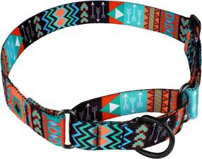img 2 attached to 🐾 CollarDirect Tribal Pattern Martingale Dog Collar - Adjustable Nylon Safety Training Collars for Medium and Large Dogs - Heavy Duty