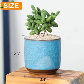 img 3 attached to Set Of 8 2.5 Inch Ceramic Ice Crack Succulent Plant Pots With Bamboo Tray For Home And Office Decor - Ideal For Cacti, Flowers, And Mini Plants (Plants Not Included)