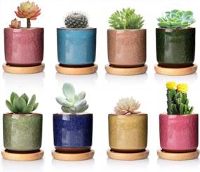 img 4 attached to Set Of 8 2.5 Inch Ceramic Ice Crack Succulent Plant Pots With Bamboo Tray For Home And Office Decor - Ideal For Cacti, Flowers, And Mini Plants (Plants Not Included)