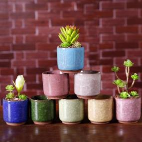 img 1 attached to Set Of 8 2.5 Inch Ceramic Ice Crack Succulent Plant Pots With Bamboo Tray For Home And Office Decor - Ideal For Cacti, Flowers, And Mini Plants (Plants Not Included)