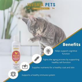 img 3 attached to 🐱 Juvenia Cats Resveratrol Supplement - Anti Aging Antioxidant Gel for Cats, Hypoallergenic, Immune System Support, Healthy Aging, Joint and Bone Strength, Senior Cat Vitamins - 8 oz