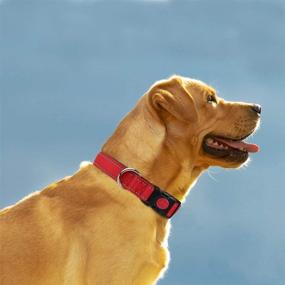 img 3 attached to Enhanced Visibility: Taglory Reflective Dog Collar with Safety Locking 🐶 Buckle - Adjustable Nylon Pet Collars for Large Dogs in Vibrant Red