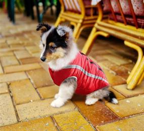 img 3 attached to 🐶 Segarty Red Dog Coat - Winter Waterproof Sport Vest Jacket with Reflective Strip for Small Dogs