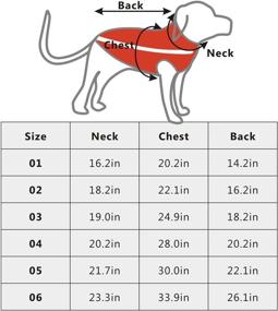 img 2 attached to 🐶 Segarty Red Dog Coat - Winter Waterproof Sport Vest Jacket with Reflective Strip for Small Dogs