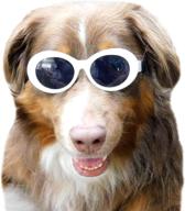 thick round sunglasses medium large dogs good in apparel & accessories logo