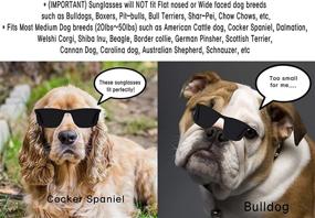 img 3 attached to Thick Round Sunglasses Medium Large Dogs good in Apparel & Accessories