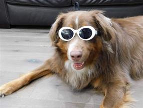 img 1 attached to Thick Round Sunglasses Medium Large Dogs good in Apparel & Accessories