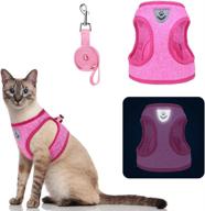 escape proof cat harness and leash for walking - pupteck ultralight adjustable vest harness for kittens and puppies, reflective and breathable outdoor vest, safe at night logo