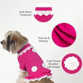 img 1 attached to Joytale Small Dog Sweater Turtleneck Dress: Stylish Winter Cable Knitwear for Cats, Puppies, and Small Dogs