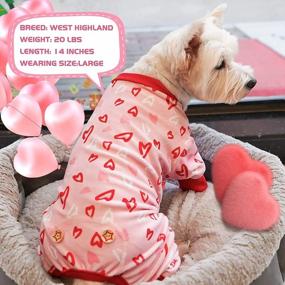 img 2 attached to ❤️ KYEESE Valentine's Day Dog Pajamas: Pink Heart Patterned PJs for Small Dogs - Soft, Stretchable Velvet Onesie for Holiday Comfort
