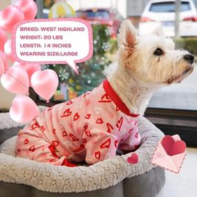img 1 attached to ❤️ KYEESE Valentine's Day Dog Pajamas: Pink Heart Patterned PJs for Small Dogs - Soft, Stretchable Velvet Onesie for Holiday Comfort