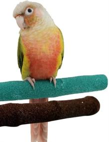 img 4 attached to 2-Pack 20Cm/8" Upgraded New Version Natural Wood Quartz Sand Branches Nail Perch Bird Stand For Small Medium Birds Cockatiel Parakeet Conure Cage Accessory