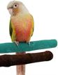 2-pack 20cm/8" upgraded new version natural wood quartz sand branches nail perch bird stand for small medium birds cockatiel parakeet conure cage accessory logo