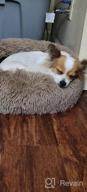 img 1 attached to Calming Dog Bed Donut For Small And Medium Pets - Anti-Anxiety Fluffy Bed By NOYAL review by Ameen Bethea