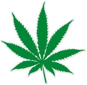 img 4 attached to Marijuana Smoker Legalize Sticker Decal