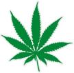 marijuana smoker legalize sticker decal logo