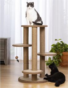 img 2 attached to Prevue Pet Products 7150 Kitty Power Paws Multi-Platform Cat Scratcher with Tassels - Natural, High-Quality Cat Scratching Post