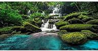 awert waterfall terrarium background rainforest fish & aquatic pets best: aquarium decor logo