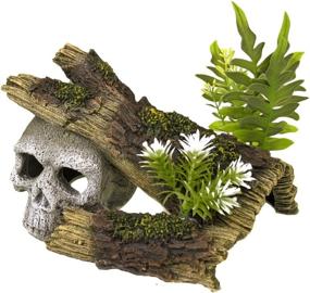 img 3 attached to 🐠 Enhance Your Aquarium with the Blue Ribbon Jungle Skull Hideaway: Exotic Environments Ornament (EE-1019)