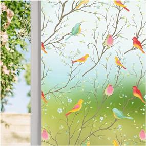 img 4 attached to Coavas Privacy Window Film Non-Adhesive Translucent Bird Window Film Decorative Glass Film Static Cling Film Bird Window Stickers For Home Office 17.7 X 78.7 Inch, Translucent