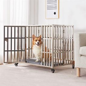 img 1 attached to 🐶 GIOPACO 38 INCH Stainless Steel Double Door Dog Crate: Spacious Kennel with Four Wheels for Medium and Large Dogs