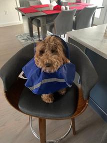 img 3 attached to Stylish & Safe Dog Raincoat - NINEMAX Adjustable Pet Jacket With Reflective Strip For Medium To Large Dogs