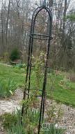 img 1 attached to Gardman R352 Black Garden Obelisk - 96" High For Elevated Garden Style review by Jacob Morrison