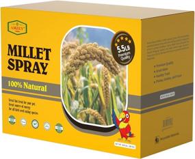 img 3 attached to 🐦 5.5 LB Parakeet Spray Millet: 100% Natural Dried Millet Grain for Birds, Non-GMO Millet Spray Bird Treat - Perfect for Cockatiels, Finches, Parrots & Lovebirds