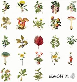 img 3 attached to 🌸 DESEACO 92PCS Cottagecore Mini Wild Plant Sticker Sets for Scrapbooking, Phone case, Stationery, Laptops, Diary, Album, Envelopes, and Journals - Aesthetic Flower Decals in Box Packaging