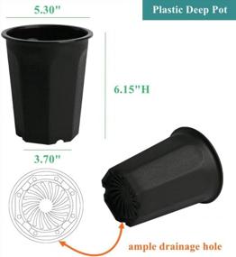img 3 attached to 10 Pack Of Black Plastic Nursery Pots For Transplanting And Succulent Care