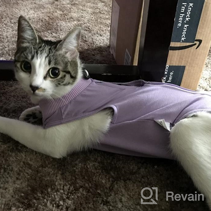 img 1 attached to Cat Surgery Recovery Suit: Surgical Abdominal Wound Protection For Indoor Pets - E-Collar Alternative Post-Surgery Pajama Suit review by Nicholas Serafini